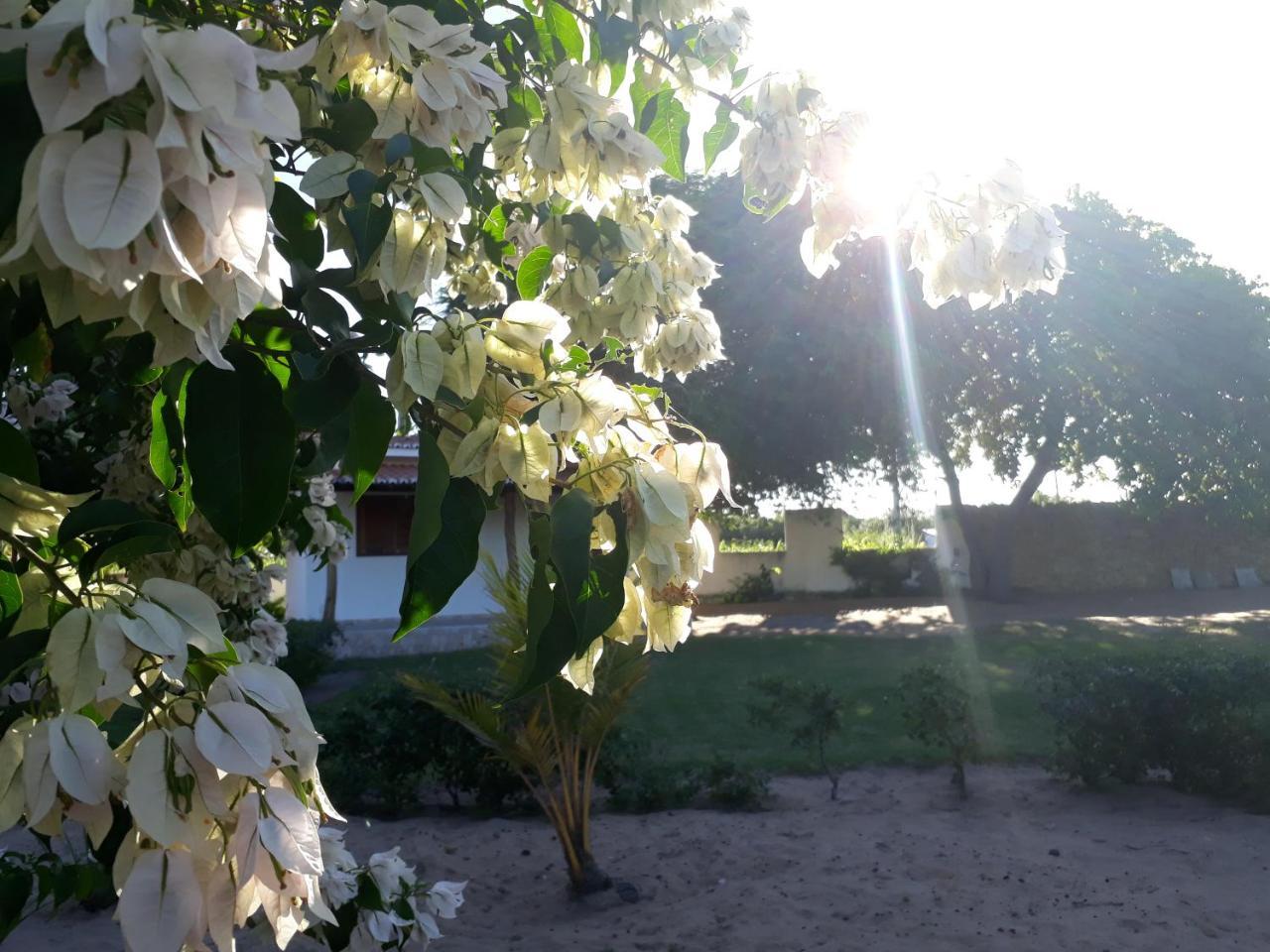 Sao Jose  Condominio E Pousada Chales Sossego Do Gostoso المظهر الخارجي الصورة